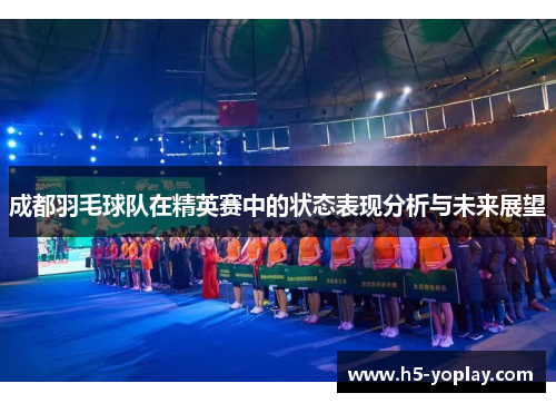 成都羽毛球队在精英赛中的状态表现分析与未来展望