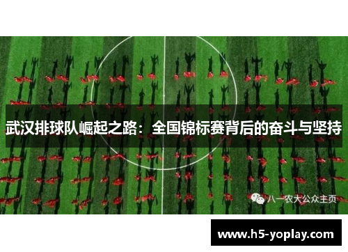 武汉排球队崛起之路：全国锦标赛背后的奋斗与坚持