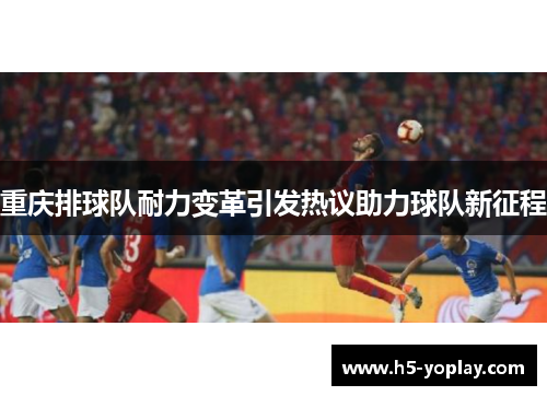 重庆排球队耐力变革引发热议助力球队新征程